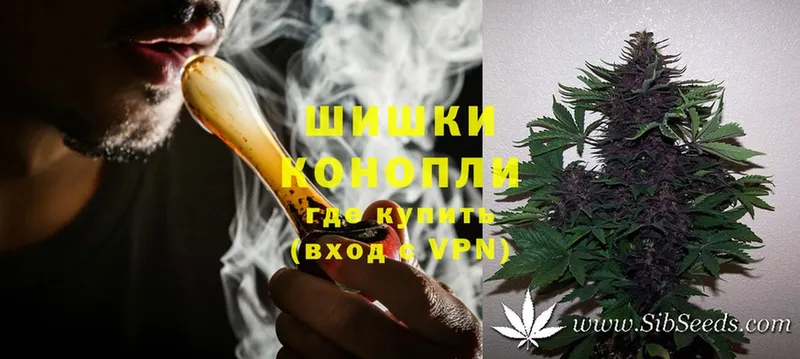 МАРИХУАНА THC 21%  купить наркоту  Белёв 